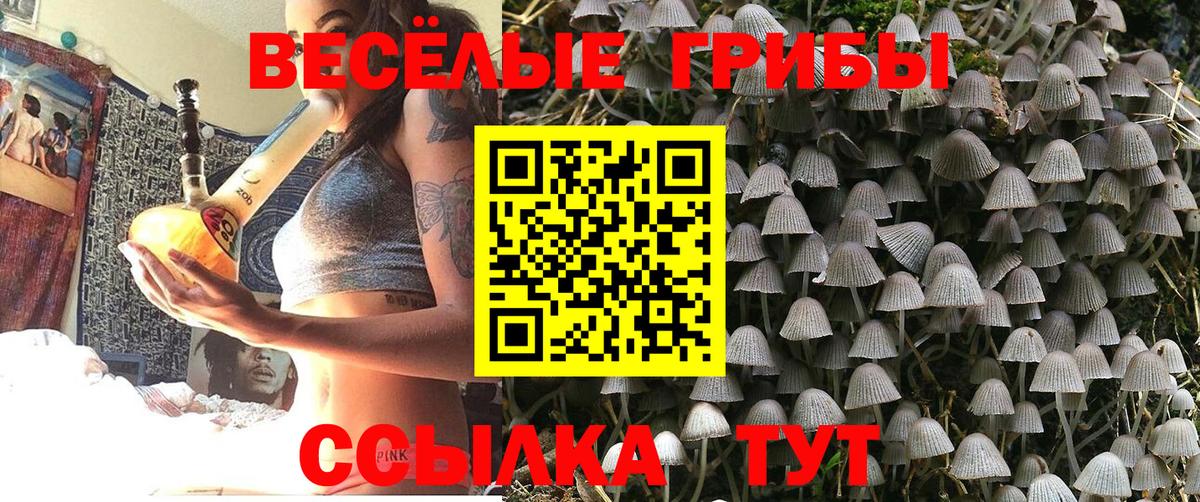Бузулук  Псилоцибиновые грибы Psilocybine cubensis  Вход с VPN 